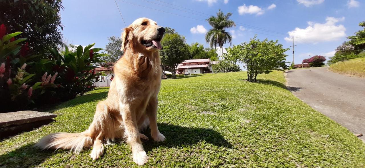 Finca Hotel Santana モンテネグロ エクステリア 写真