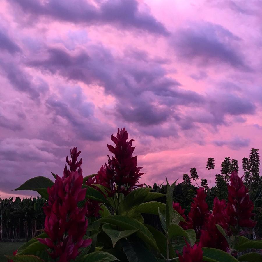 Finca Hotel Santana モンテネグロ エクステリア 写真